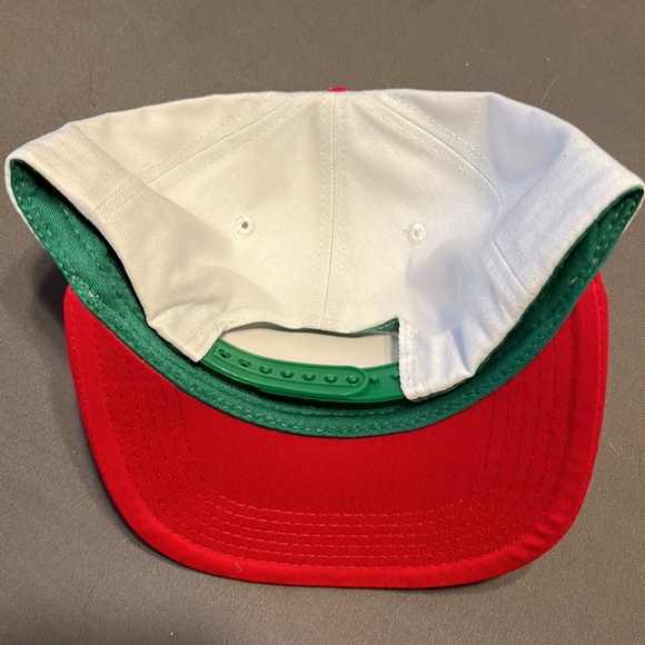 Tampa Bay Rays Italian heritage baseball hat/cap. 2023 NEW - Picture 2 of 5